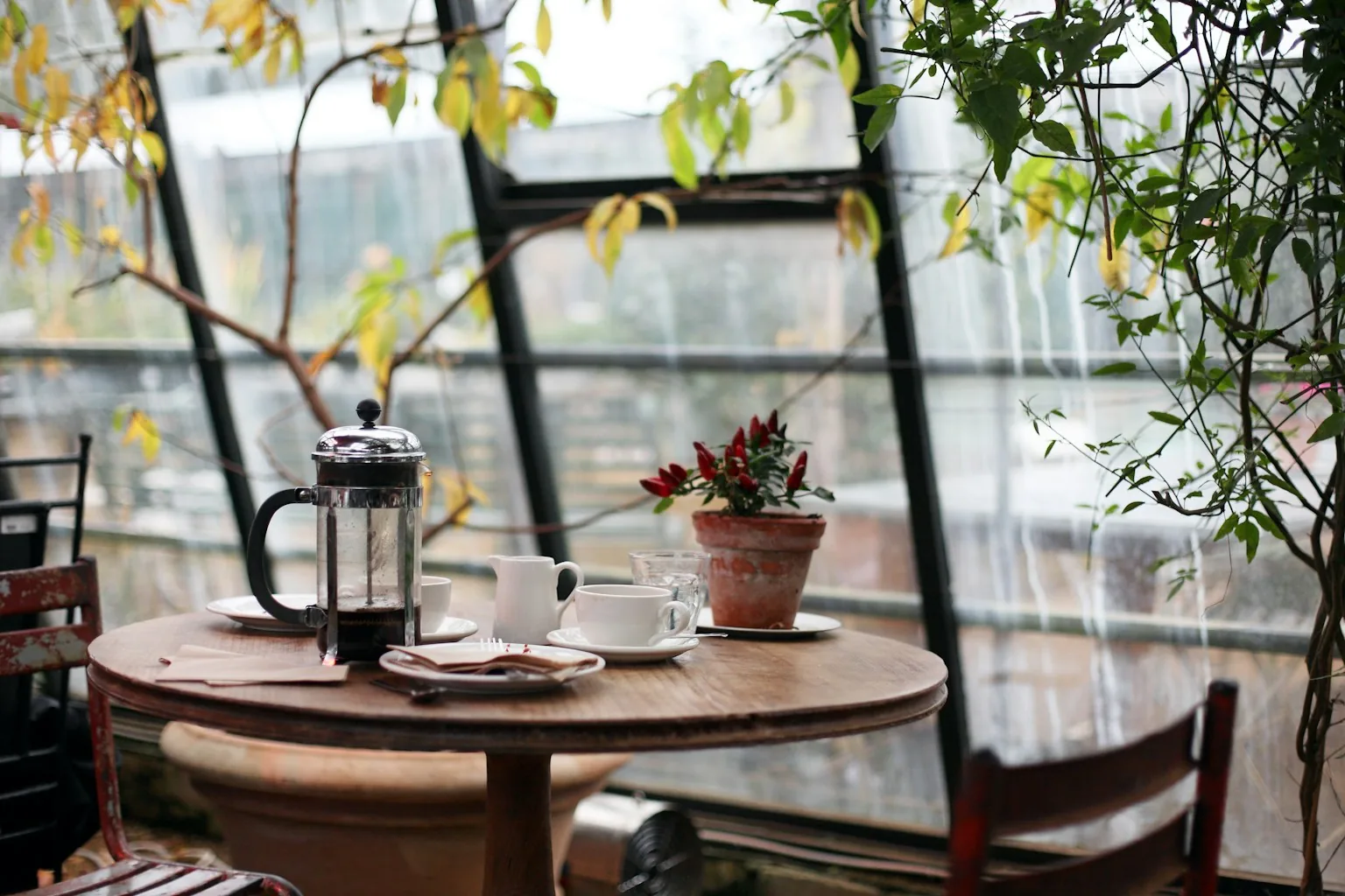 A small round cafe table with a french press and cups beside a bright plant-filled window